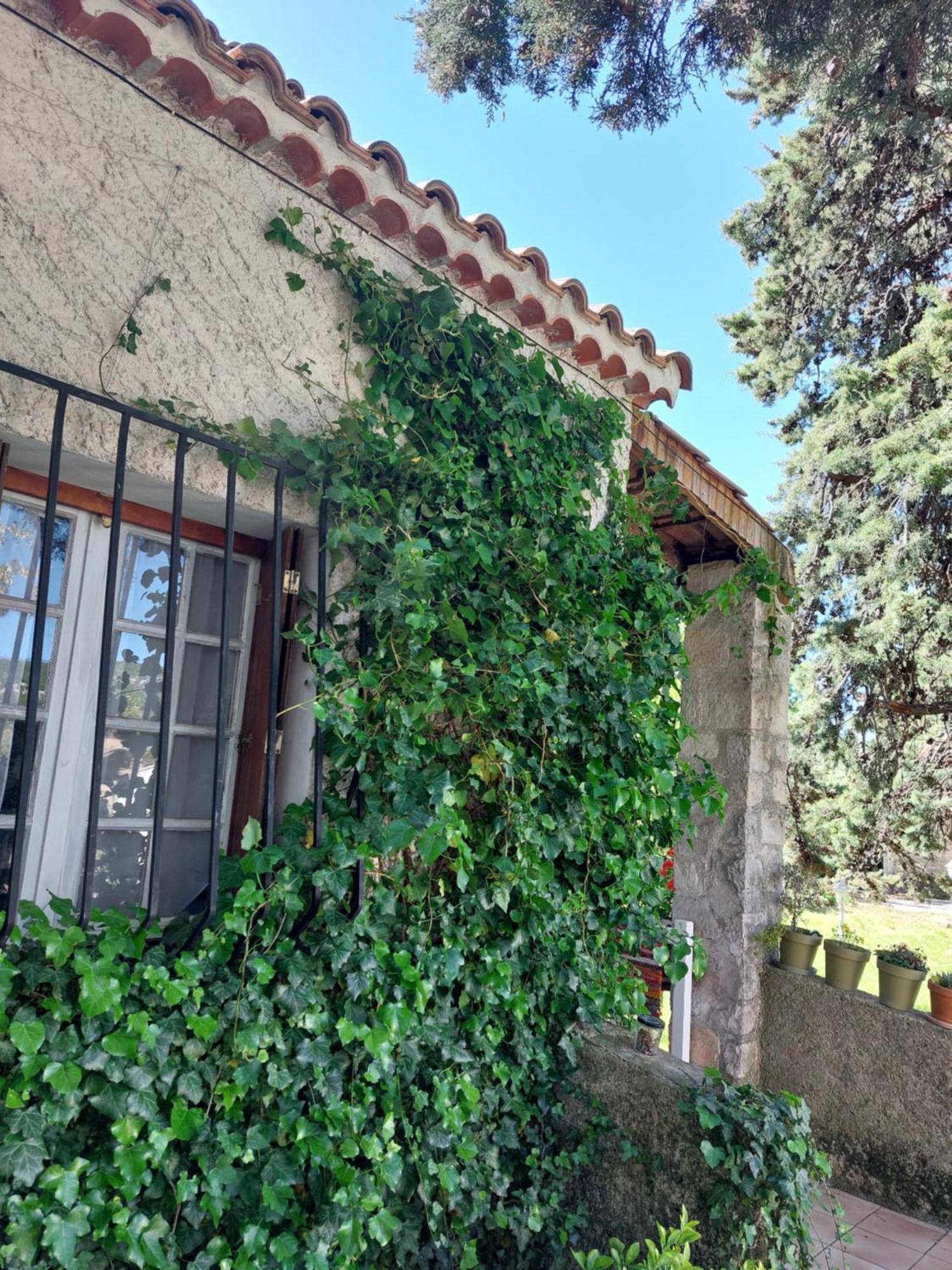 La Maison De Marie-Jeanne - Le Rocher D'Ongles Buitenkant foto