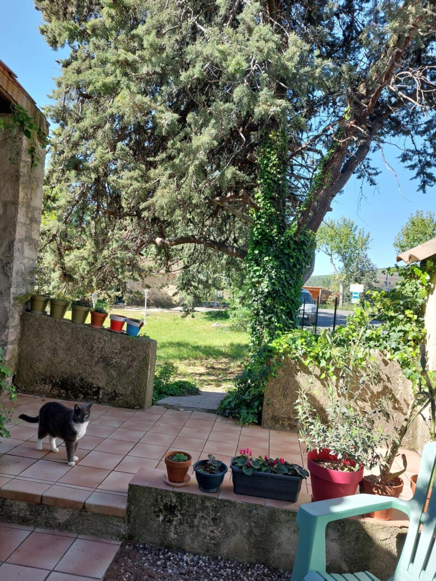 La Maison De Marie-Jeanne - Le Rocher D'Ongles Buitenkant foto