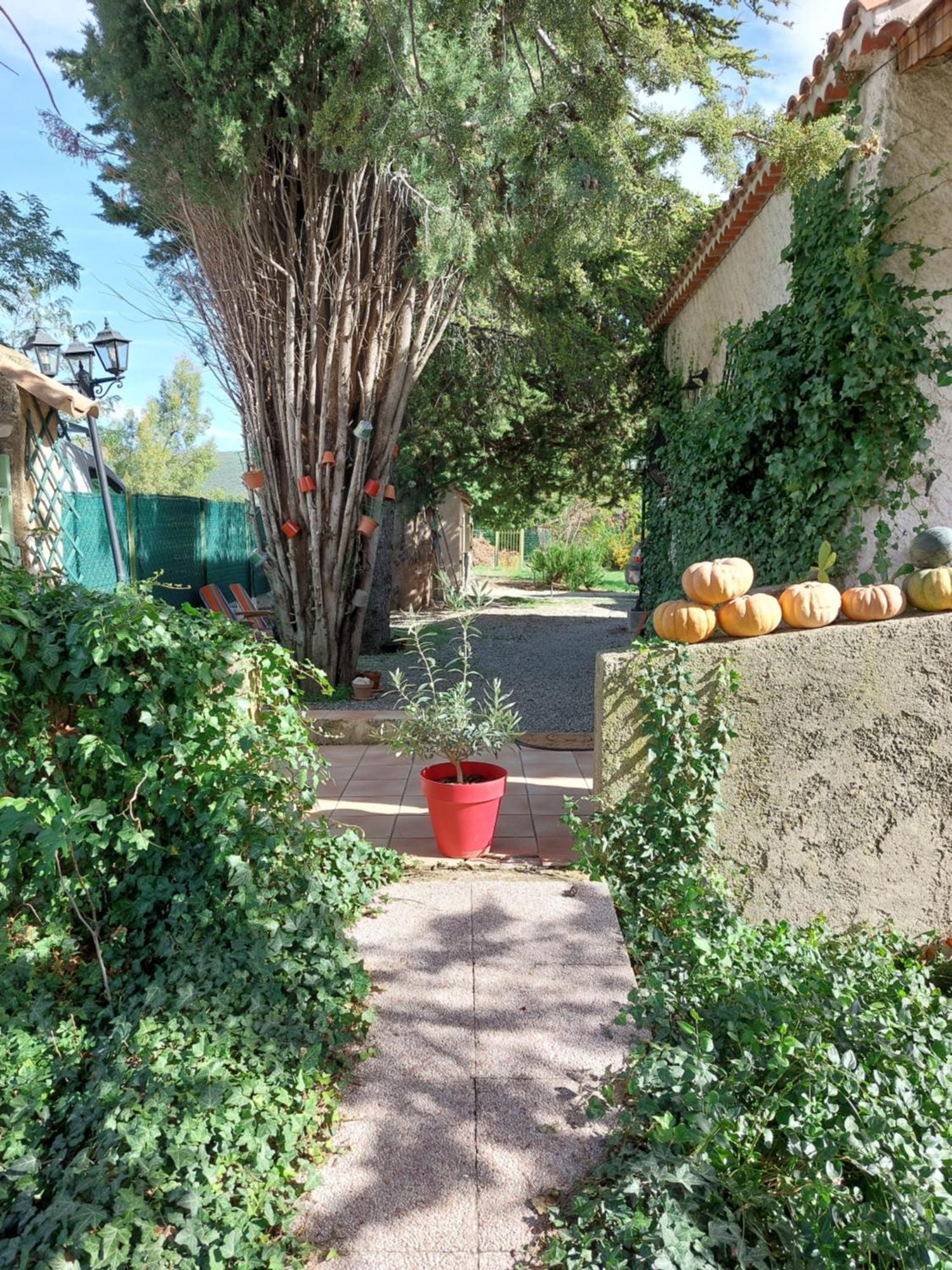 La Maison De Marie-Jeanne - Le Rocher D'Ongles Buitenkant foto